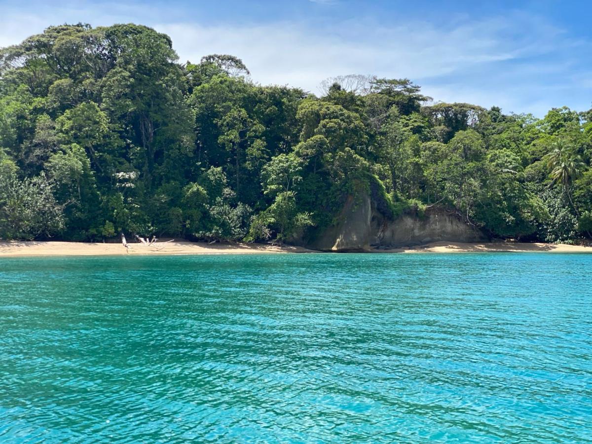 Hotel Caribbean View باستيمينتوس المظهر الخارجي الصورة