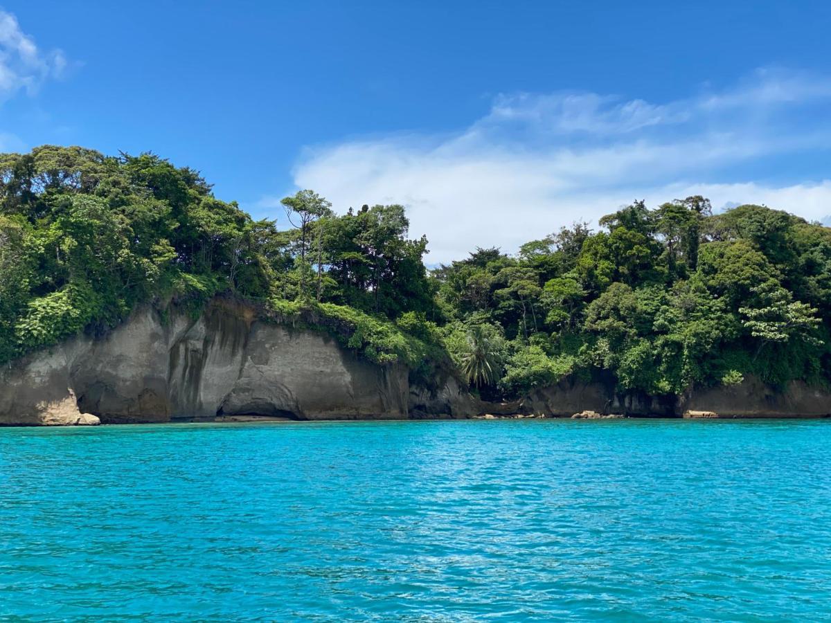 Hotel Caribbean View باستيمينتوس المظهر الخارجي الصورة