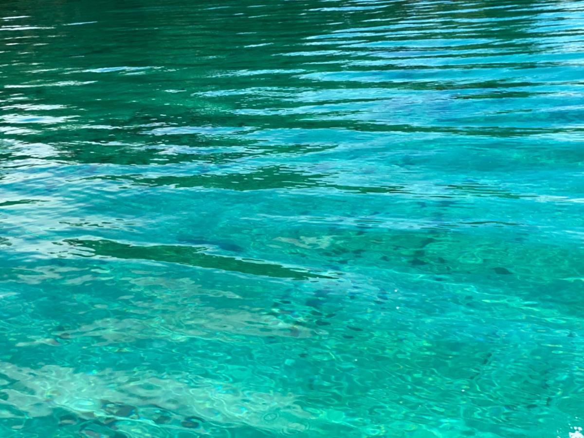 Hotel Caribbean View باستيمينتوس المظهر الخارجي الصورة