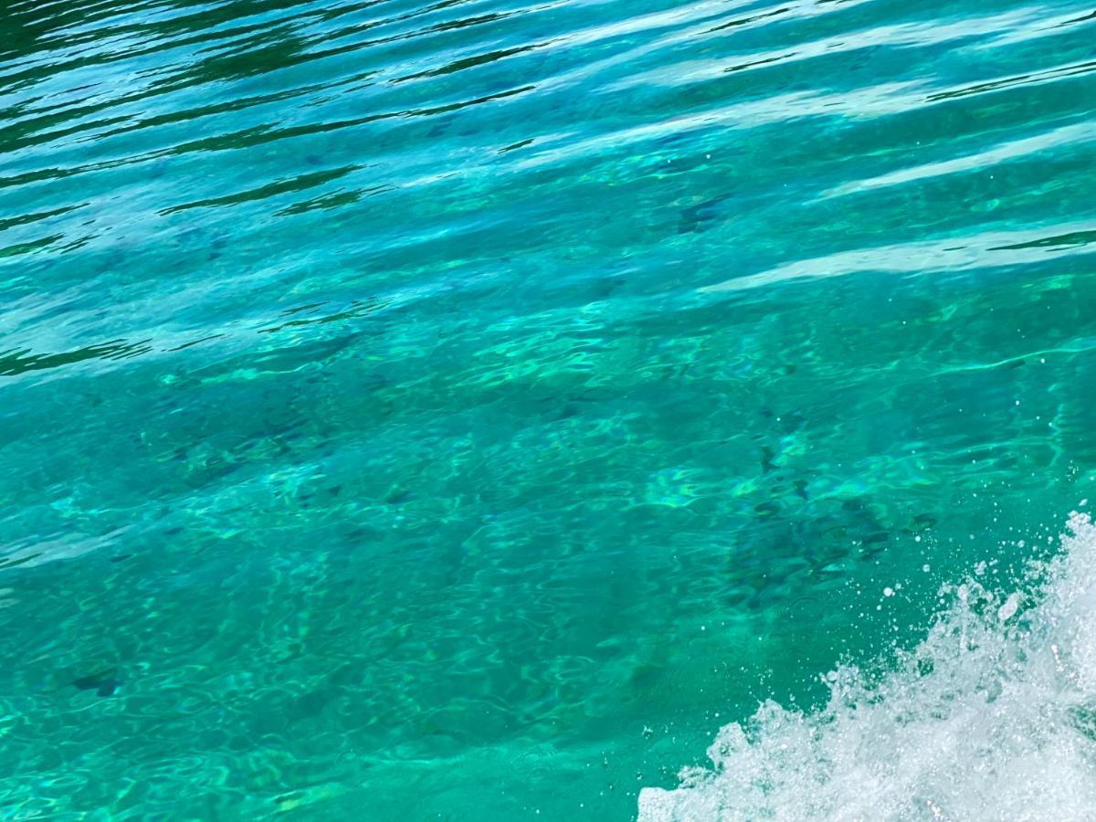 Hotel Caribbean View باستيمينتوس المظهر الخارجي الصورة
