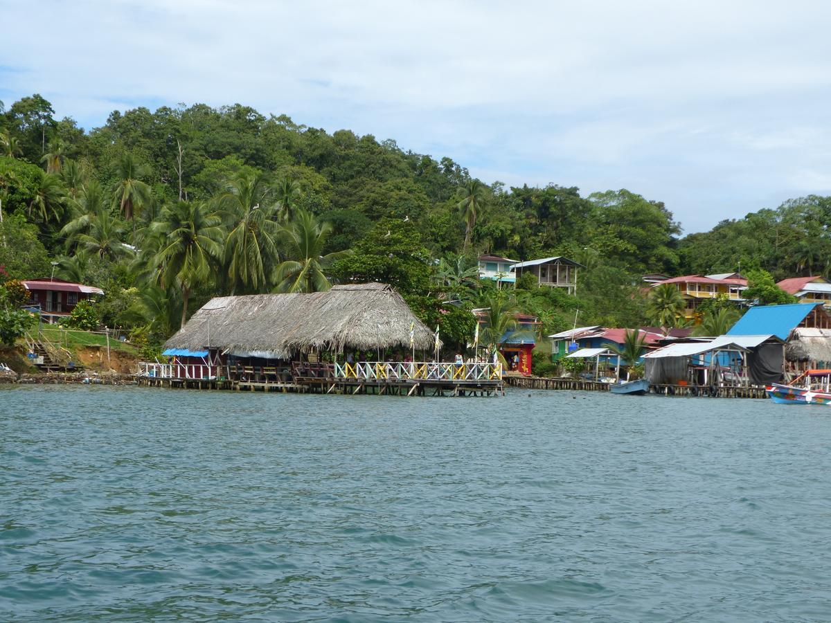 Hotel Caribbean View باستيمينتوس المظهر الخارجي الصورة